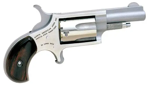 NAA MINI-REVOLVER 22LR SGL STS 15/8 - Image 3