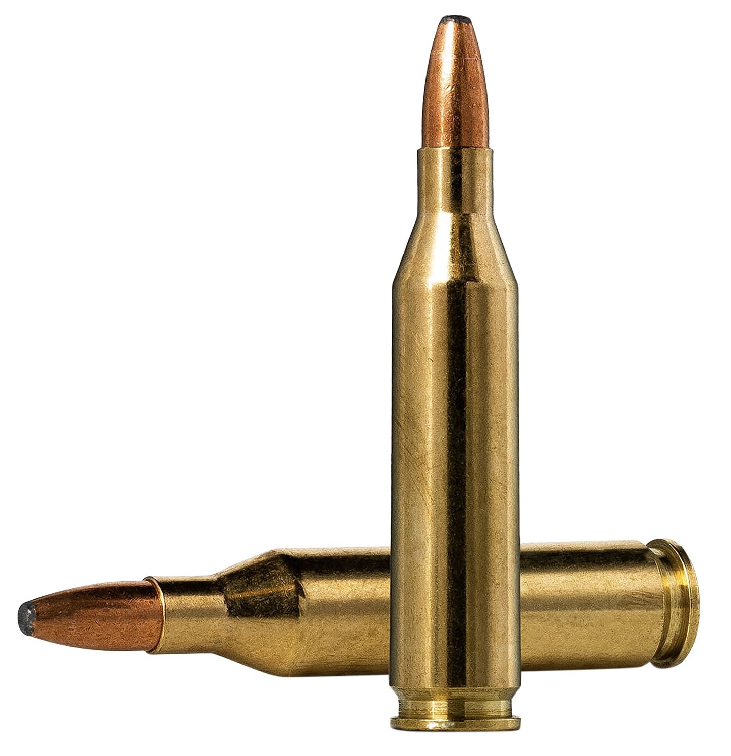 Norma Ammunition 20160332 Oryx 243Win 100gr 20 Per Box/10 Case Norma Ammunition 20160332 Oryx 243Win 100gr 20 Per Box/10 Case
