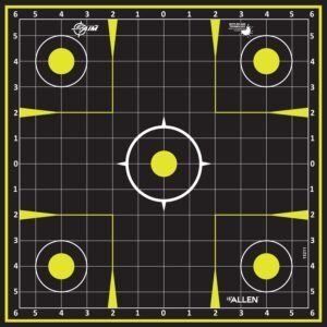 Allen 15211-30 EZ Aim Splash  Hanging 12"x12" Black/Chartreuse 30 Pack