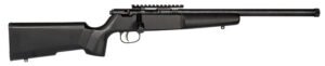Rascal 22LR Target Rifle 16 1/4" Single