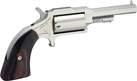 NORTH AMERICAN ARMS SHERIFF 22LR/22MAG 2.5″ SS 5SH NORTH AMERICAN ARMS SHERIFF 22LR/22MAG 2.5″ SS 5SH