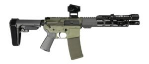 Shark Coast Tactical SCC06872BUGBR300P Bug Bear Bundle 300 Blackout 30+1 10″ Threaded Barrel, Aluminum Receiver w/Picatinny Rail, M-LOK Handguard, Polymer SB Tactical SBA3 Brace, Streamlight ProTac Ra