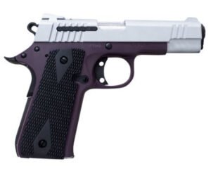Citadel CIT380PURP 1911-A1 Baby Citadel .380 ACP 3.75″ 7+1 Rebel Purple/Stainless