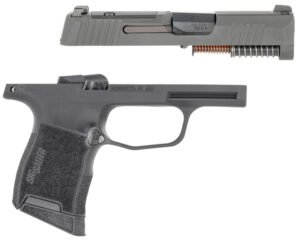 Sig Sauer 8900719 P365 Caliber Exchange Kit 380 ACP 3.10" 10+1 Black Nitride Slide Black Polymer Frame SigLite Night Sights for All Sig P365 Models