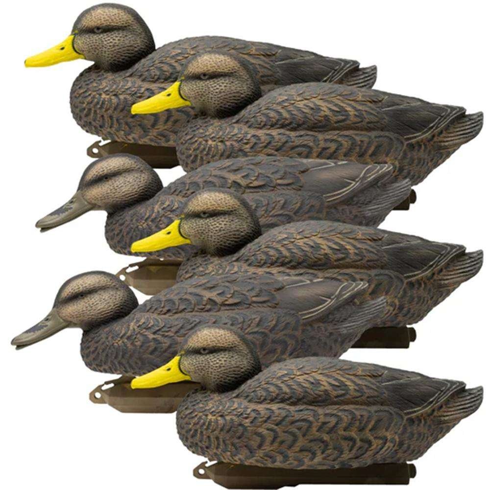Higdon Legacy Magnum Black Duck Decoys Foam Filled 6/ct Higdon Legacy Magnum Black Duck Decoys Foam Filled 6/ct